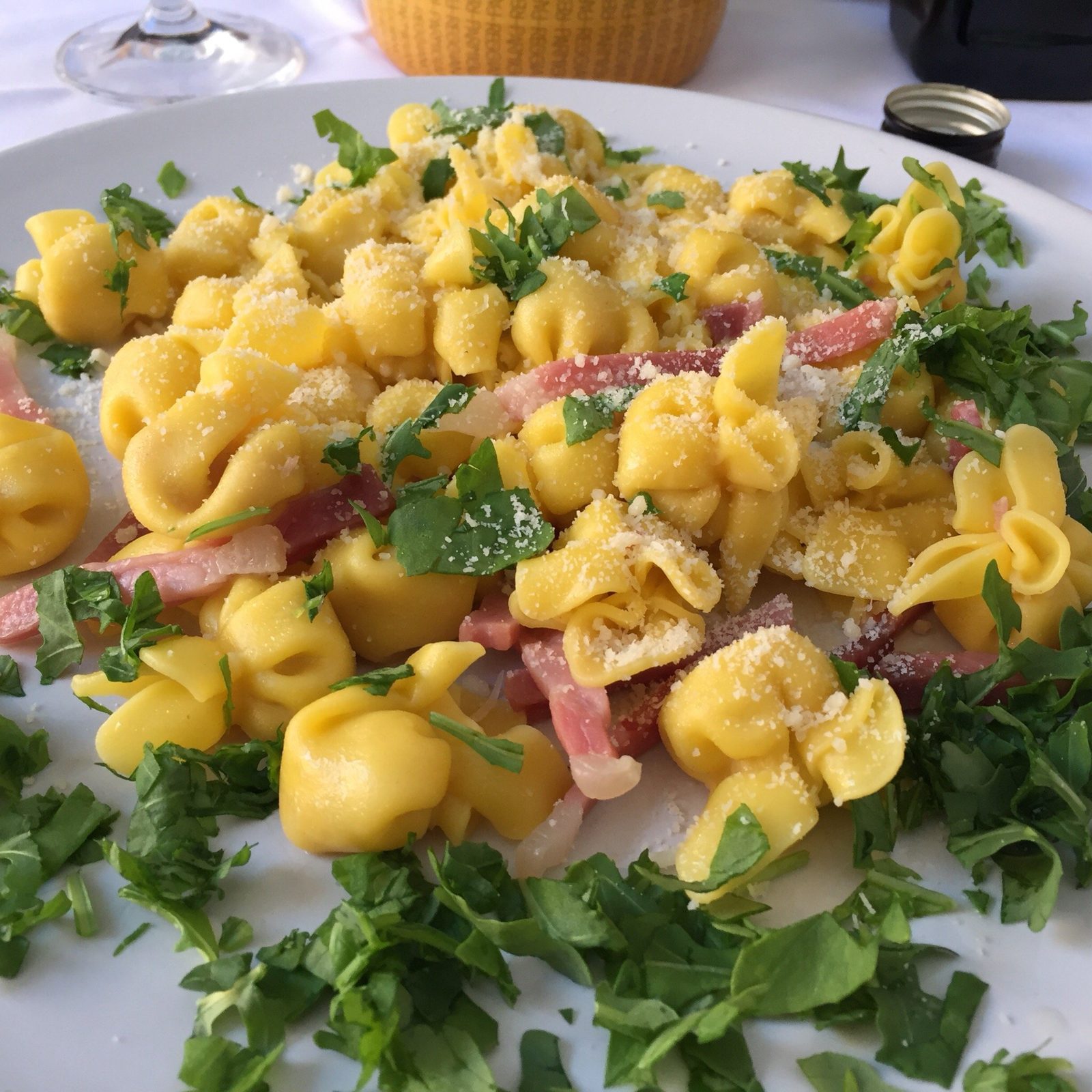 Tortelli serviti su un letto di rucola con scaglie di parmigiano.